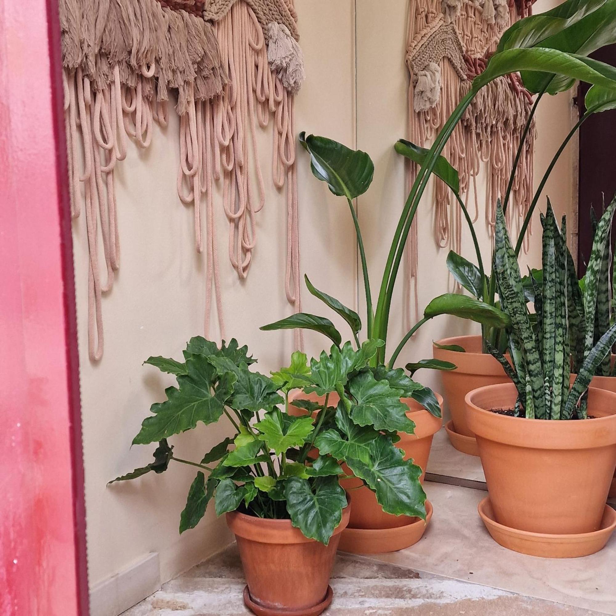 Casinha da Praça Constância Exterior foto